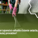 Tepovanie sedačky, čistenie sedačky