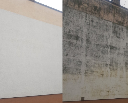Pleseň na fasáde domu v Čadci